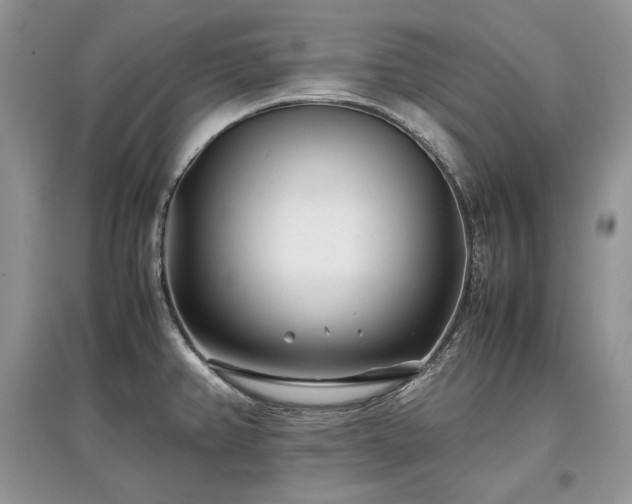 X0000097641382200803071543