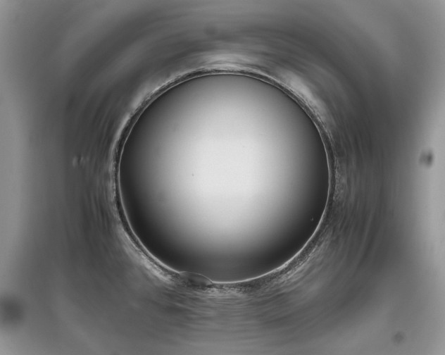 X0000097641384200803071543