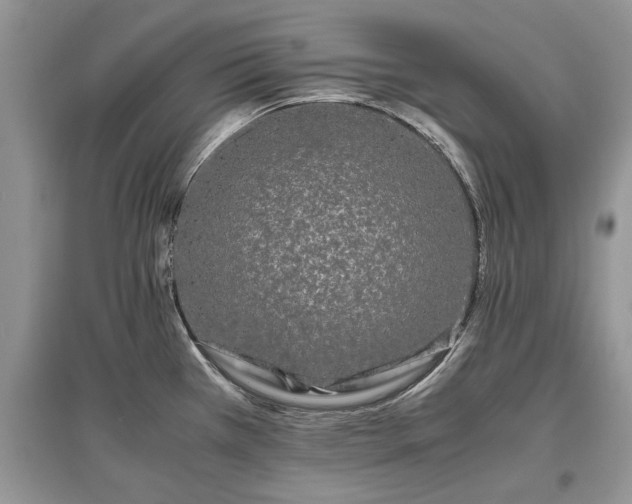 X0000097641385200803071543