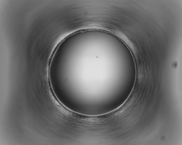 X0000097641388200803071543