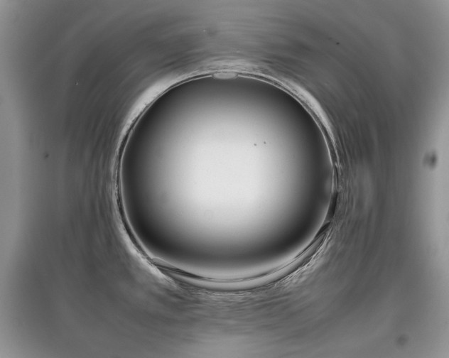 X0000097641389200803071543