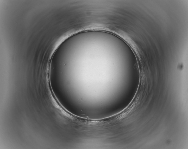 X0000097641390200803071543