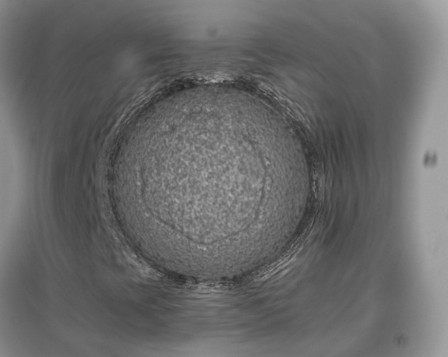 X0000097641393200803071542