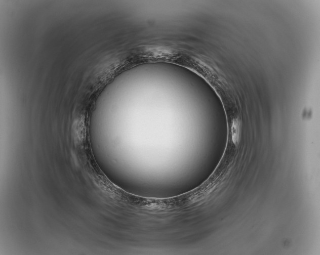 X0000097641395200803071542