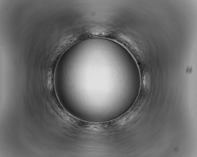 X0000097641396200803071542