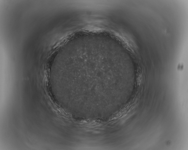 X0000097641397200803071542