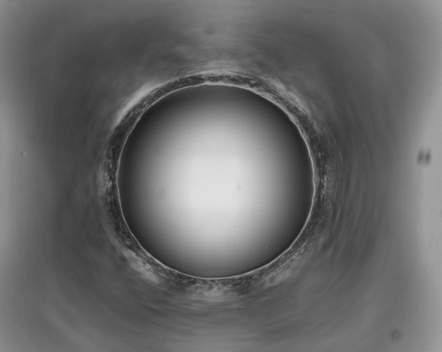 X0000097641400200803071542