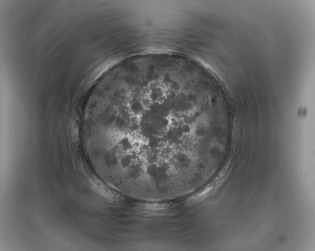 X0000097641401200803071542