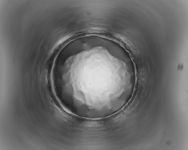 X0000097641402200803071542