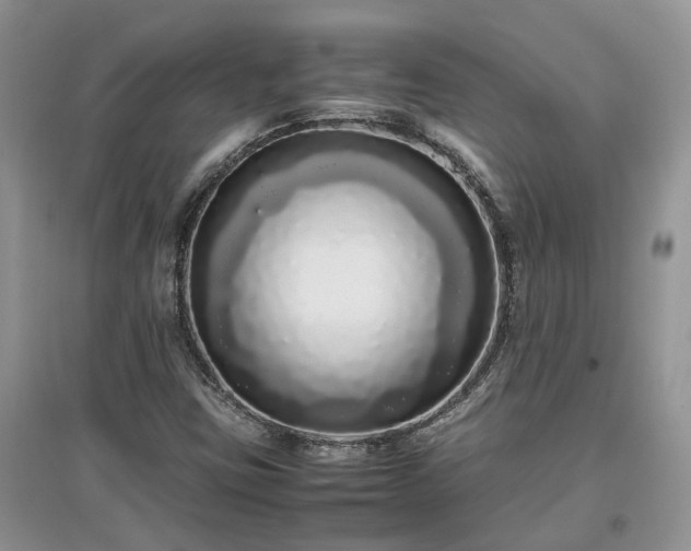 X0000097641403200803071542