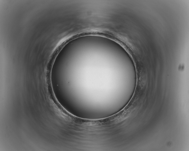 X0000097641404200803071542