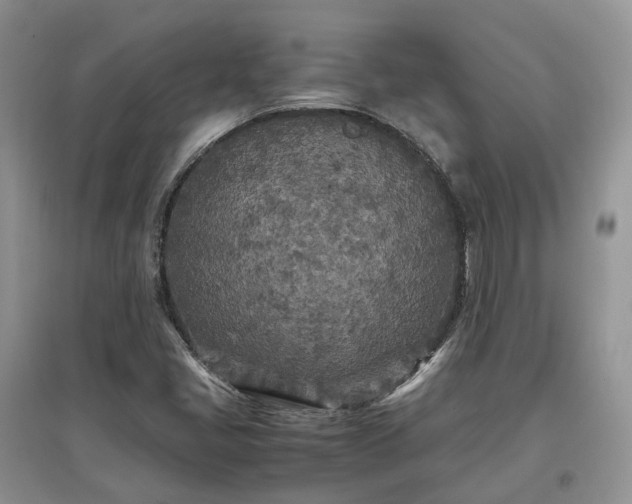 X0000097641405200803071542