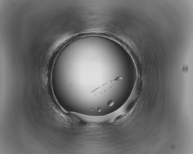 X0000097641406200803071543