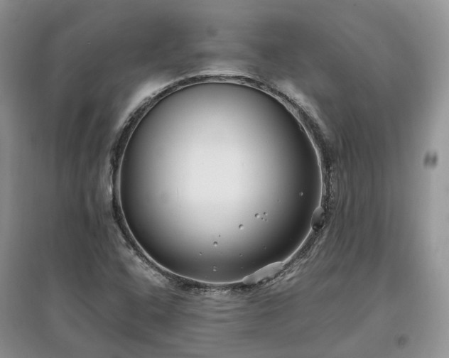 X0000097641408200803071543