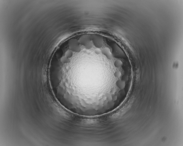 X0000097641409200803071543