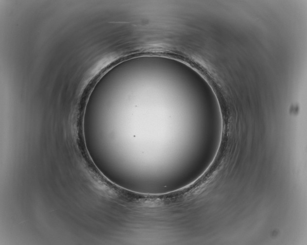 X0000097641410200803071543