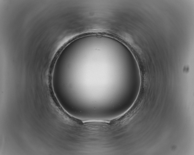 X0000097641412200803071543