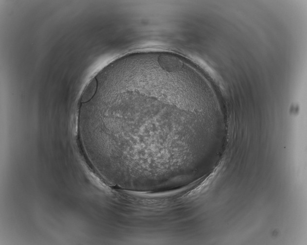 X0000097641413200803071543