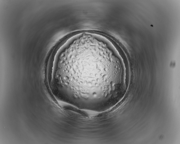 X0000097641415200803071543