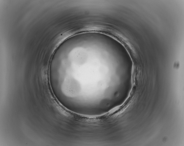 X0000097641417200803071543