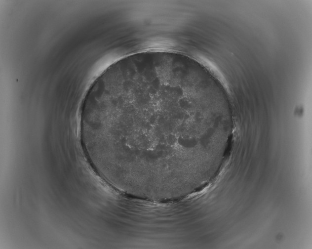 X0000097641419200803071543