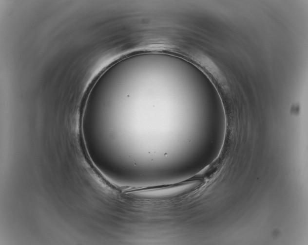 X0000097641420200803071543