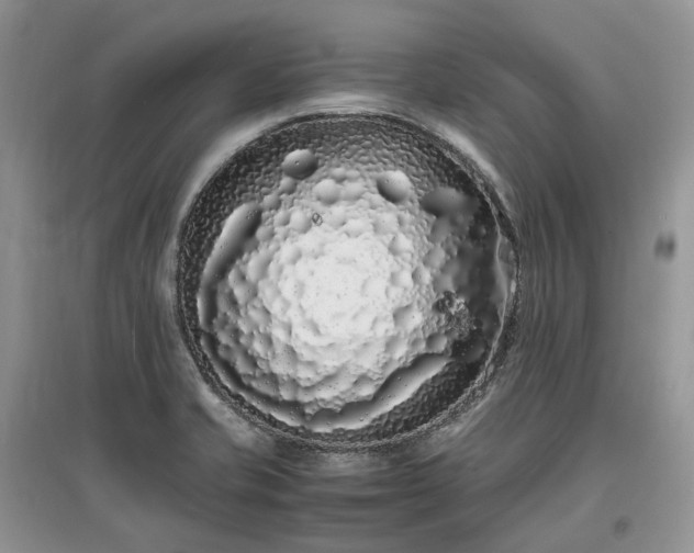 X0000097641421200803071543