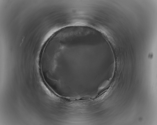 X0000097641422200803071543