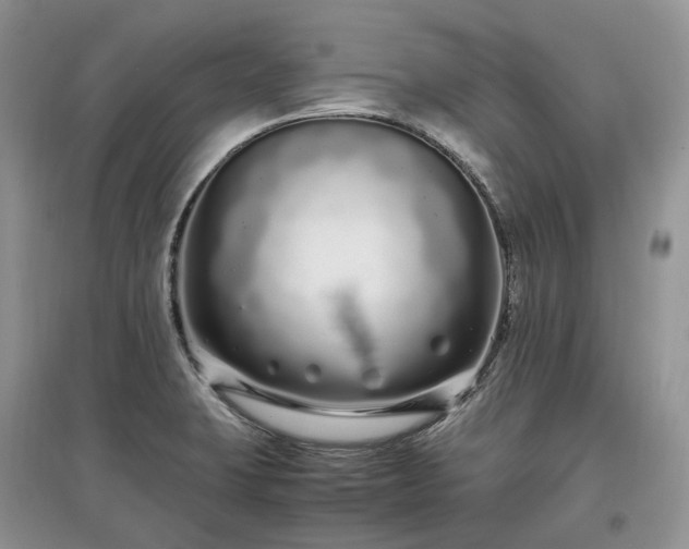 X0000097641423200803071543