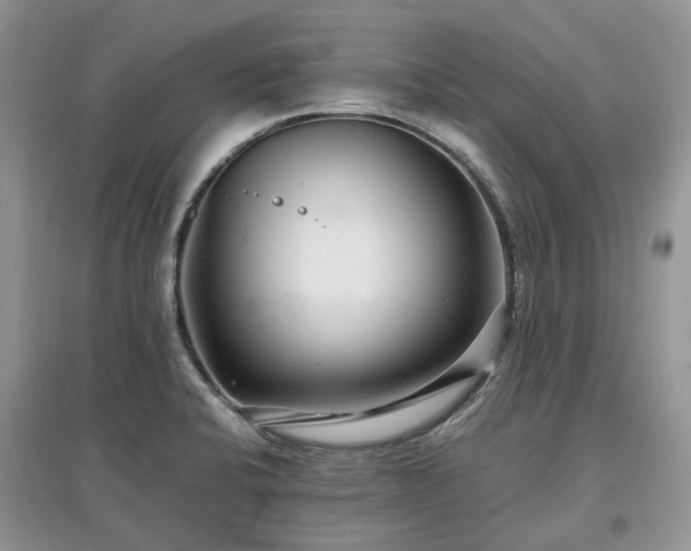 X0000097641424200803071543