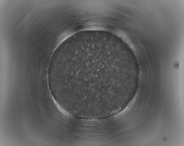 X0000097641425200803071543