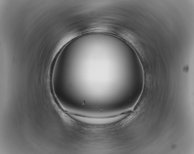 X0000097641426200803071543