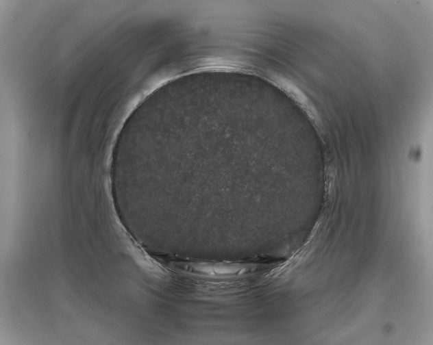 X0000097641427200803071543