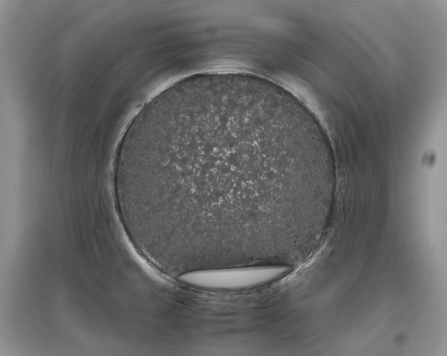 X0000097641429200803071543