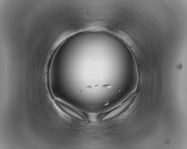 X0000097641430200803071543