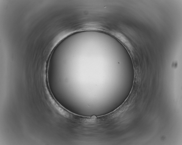 X0000097641431200803071543