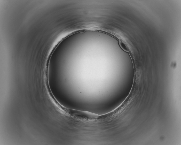 X0000097641432200803071543