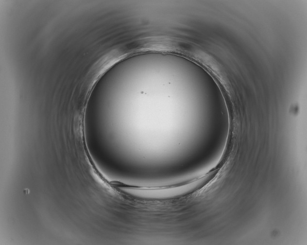 X0000097641433200803071543