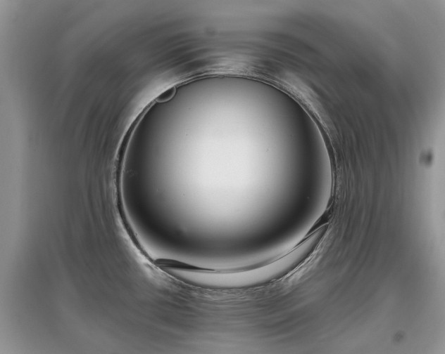 X0000097641434200803071543