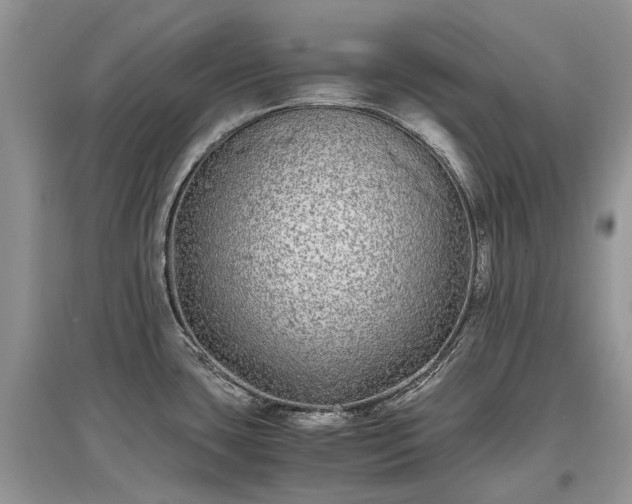 X0000097641435200803071543