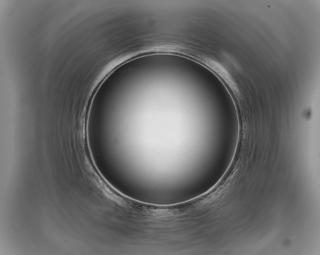 X0000097641436200803071543