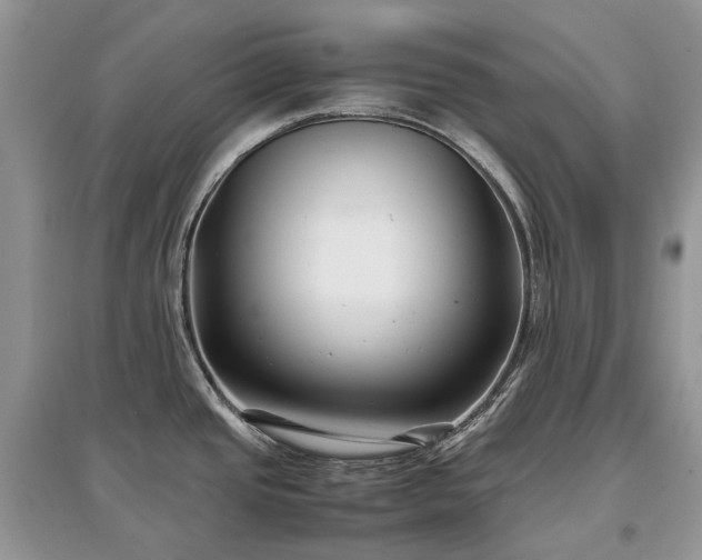 X0000097641437200803071543