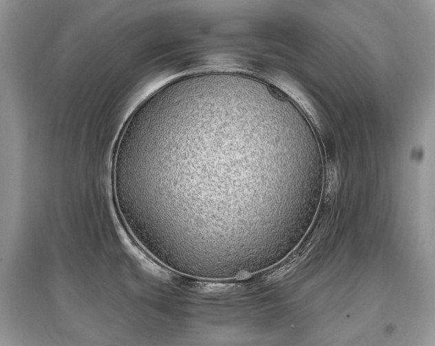 X0000097641439200803071543