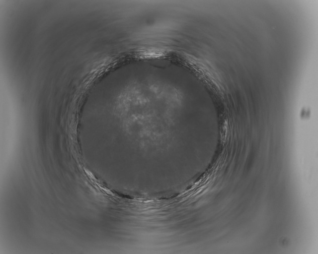 X0000097641441200803071542