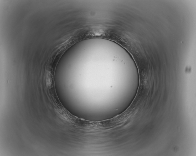 X0000097641442200803071542