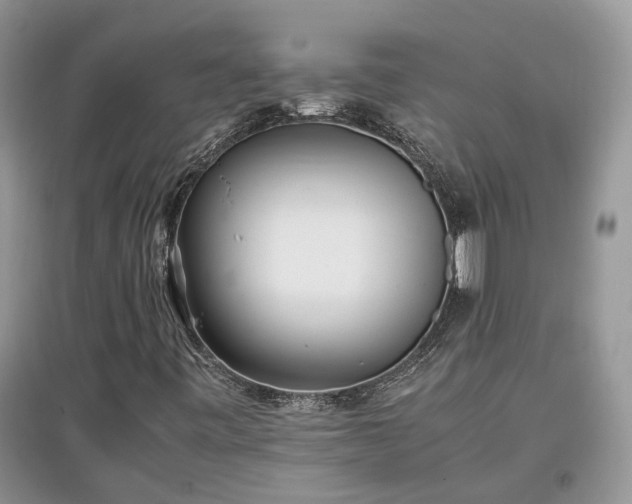 X0000097641443200803071542