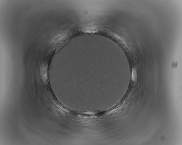 X0000097641444200803071542