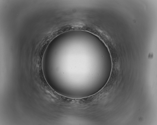 X0000097641445200803071542