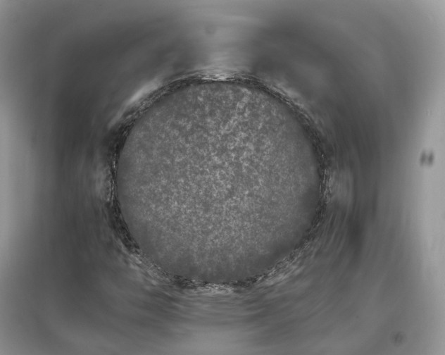 X0000097641446200803071542