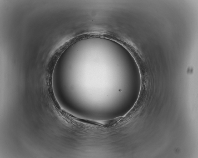 X0000097641448200803071542